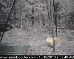 BedandBreakfast-NewFeeder_10102013_5813318.jpg